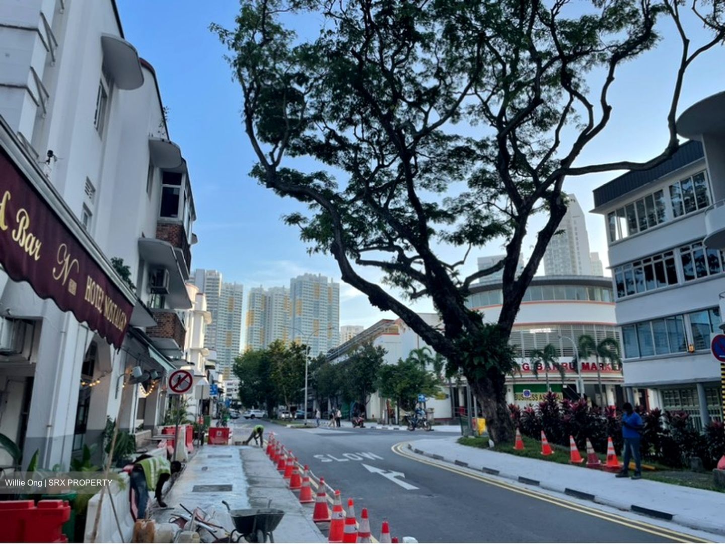 Tiong Bahru Road (D3), Shop House #596331981